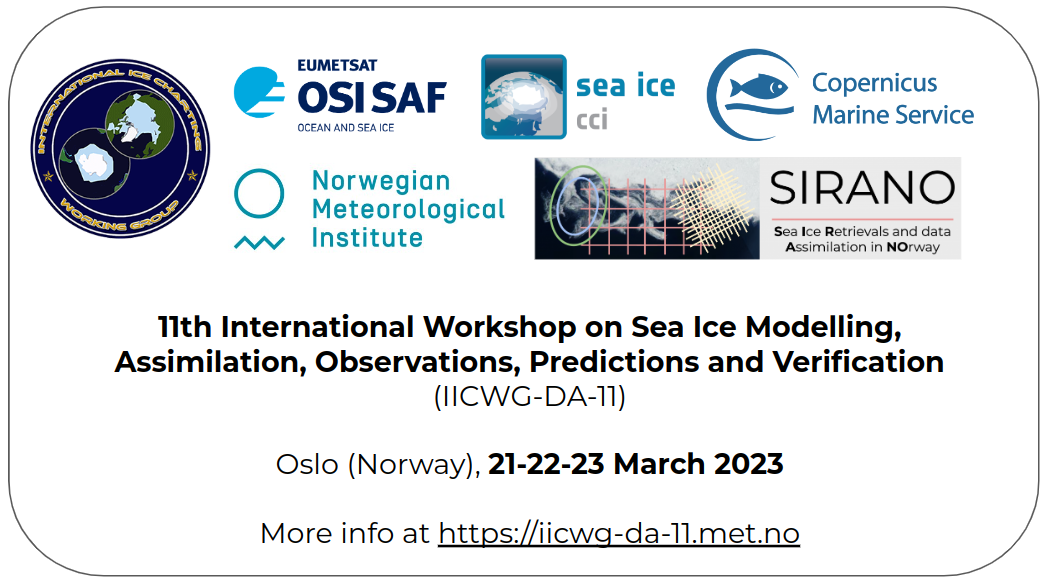 Visual announcing the IICWG-DA-11 sea ice workshop